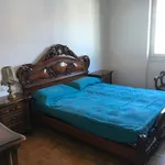 Rent 1 bedroom apartment of 70 m² in Milano MI