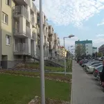 Rent 2 bedroom apartment of 58 m² in Wrocław