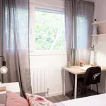 Rent a room in madrid