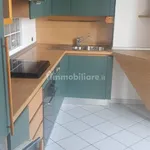 Penthouse viale Carlo d'Adda 25, Centro, Cassano d'Adda