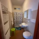 Rent 1 bedroom apartment of 40 m² in Borgosatollo