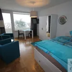 Rent 1 bedroom apartment of 31 m² in Erlangen