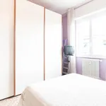 via vittorio veneto, Milan - Amsterdam Apartments for Rent