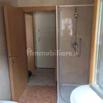 1-bedroom flat via Nazionale 10, Laghetti, Neumarkt