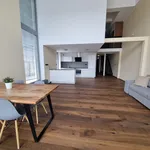 Pronajměte si 3 ložnic/e byt o rozloze 190 m² v Prague