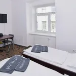 Rent 1 bedroom apartment of 24 m² in Brno