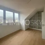 Rent 4 bedroom apartment of 115 m² in Oberburg