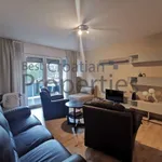 Rent 1 bedroom apartment of 55 m² in City of Zagreb