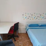 Rent a room in perugia