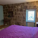 Rent 1 bedroom apartment in Viterbo