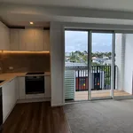 Rent 1 bedroom apartment in Albert-Eden