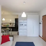 Rent 1 bedroom apartment in Rome