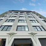 Rent 1 bedroom apartment in Wellington