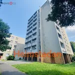 Rent 2 bedroom apartment of 35 m² in Ostrava