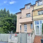 Rent 1 bedroom house in Capital City of Prague