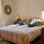 Rent 2 bedroom apartment in florence