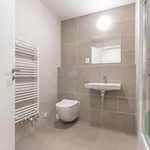 Rent 1 bedroom apartment in Prague