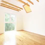 Rent 4 bedroom house in Richmond