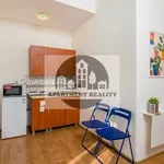 Rent 1 bedroom apartment of 25 m² in Praha