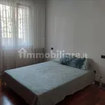 Rent 3 bedroom apartment of 80 m² in Bologna