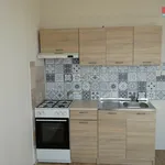 Rent 1 bedroom apartment in Chomutov