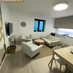 Rent 1 bedroom apartment of 45 m² in Ústí nad Labem