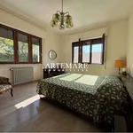 Affitto 6 camera casa di 150 m² in Pietrasanta