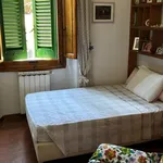 Rent 5 bedroom house of 160 m² in Prato