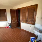 Rent 2 bedroom apartment of 65 m² in Prato