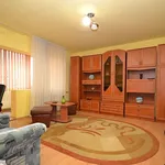 Rent 1 bedroom apartment of 40 m² in Timișoara