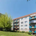 Rent 3 bedroom apartment of 60 m² in Chemnitz