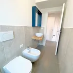 Rent 2 bedroom apartment of 45 m² in Verona