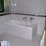 Rent 3 bedroom apartment of 75 m² in Velletri