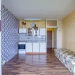 Rent 1 bedroom apartment of 41 m² in Plzeň