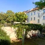 Rent 1 bedroom apartment of 49 m² in Leipzig