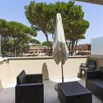 Rent 4 bedroom apartment of 80 m² in Grosseto