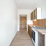 Rent 1 bedroom apartment of 38 m² in Ostrava