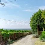 Rent 2 bedroom apartment of 90 m² in Bertinoro