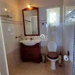 Rent 3 bedroom apartment of 360 m² in Rafina Municipal Unit