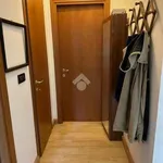 Rent 4 bedroom apartment of 100 m² in Bologna