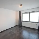 Huur 3 slaapkamer appartement van 123 m² in Zulte