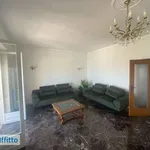 Appartamento arredato con terrazzo Centro