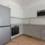 Rent 1 bedroom apartment of 43 m² in brno