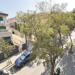 Rent a room of 40 m² in barcelona