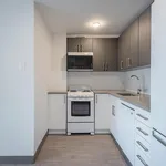  appartement avec 1 chambre(s) en location à Montreal