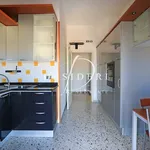 Rent 3 bedroom apartment of 76 m² in Grosseto