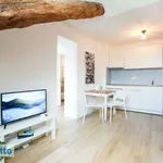 Rent 2 bedroom apartment of 60 m² in Turin