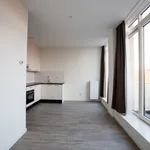 Rent 2 bedroom apartment of 32 m² in Alkmaar