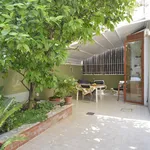 Rent 1 bedroom apartment in Rome