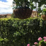 Villa Bifamiliare in in affitto da privato a Pietrasanta via Piave, 19, giardino, da privato, doppia esposizione - TrovaCasa